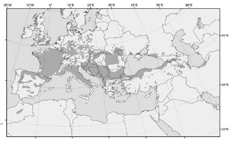 Εικόνα 1. Γεωγραφική εξάπλωση του είδους Sorbus torminalis (EUFORGENwww.euforgen.org). α. β. Εικόνα 2. (α). Νεαρό δέντρο Sorbus torminalis και (β) λεπτομέρεια των καρπών του.