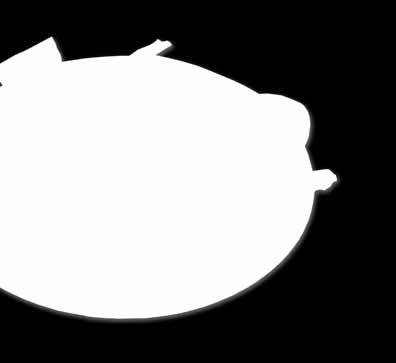 ντομάτα ή ρύζι ή πατάτες φούρνου All dishes are served with potatoes, tzatziki, onions, tomato or rice or oven baked