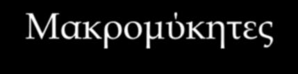 Μακρομύκητες Οργανισμοί με σώμα (θαλλό) από μικροσκοπικά ινίδια υφές μυκήλιο Μυκήλιο αόρατο κρυμμένο σε ποικίλα υποστρώματα Θρέψη με