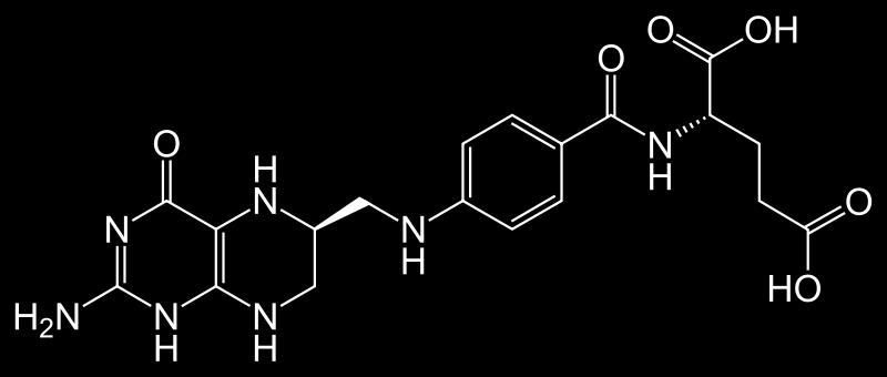 είναι το τετραϋδροφολικό Συνένζυμο στο μεταβολισμό αμινοξέων κ νουκλεϊνικών οξέων Είναι απαραίτητο
