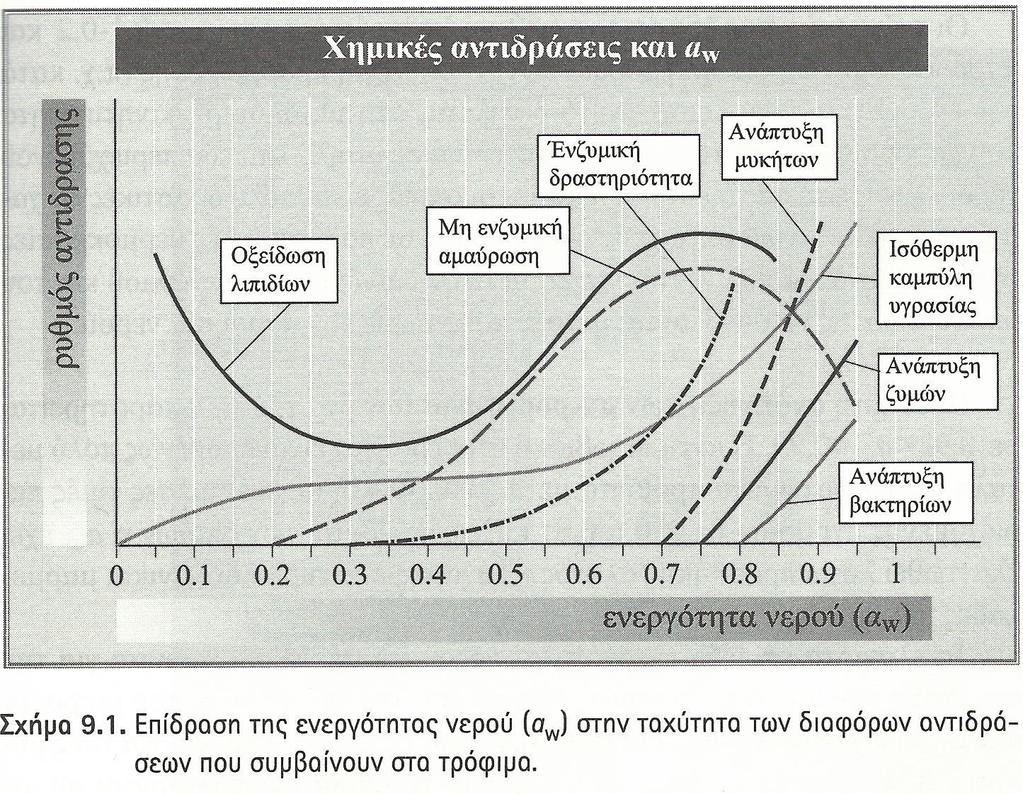 Ενεργότητα νερού και ποιότητα τροφίμων Επηρεάζει την μη ενζυμική αμαύρωση,