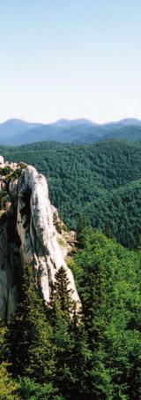 rod nih izvo ra (izlov, sjeëa, kri vo lov i sl.), te unoπe nje stra nih vr sta u ekoloπ ke su sta ve.