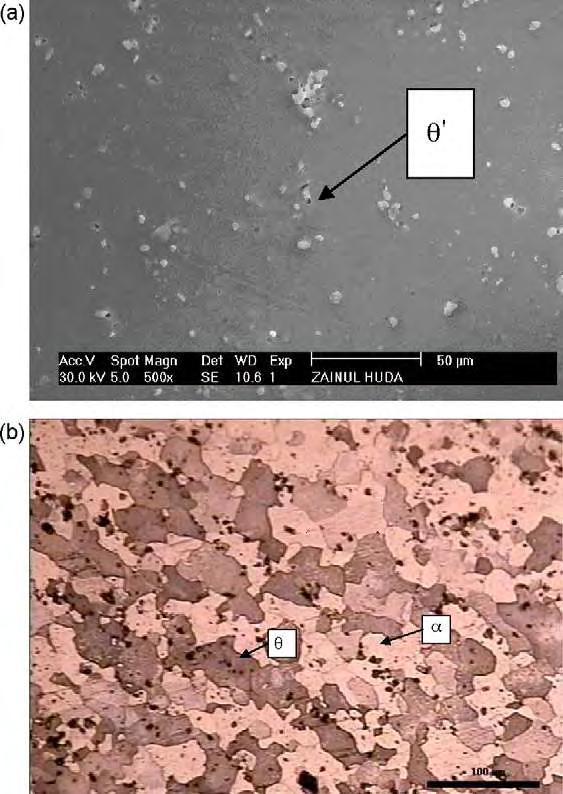 Στην Εικόνα 2.1 παρατηρείται η μικροδομή κράματος 2024 Τ-3 με οπτικό και ηλεκτρονικό μικροσκόπιο. Στις εικόνες αυτές φαίνονται χαρακτηριστικά και ορισμένα από τα σωματίδια ισχυροποίησης.