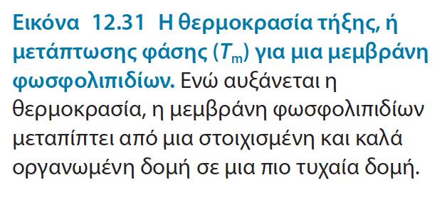 Η ρευστότητα της μεμβράνης ρυθμίζεται από τη επιμέρους σύσταση σε λιπαρά οξέα και σε χοληστερόλη Πολλές μεμβρανικές διεργασίες όπως η μεταφορά ουσιών ή η μεταγωγή