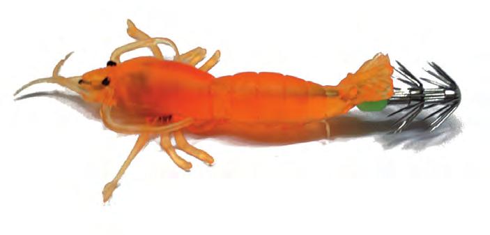 ΤΟΡ 6060-14 SHRIMP