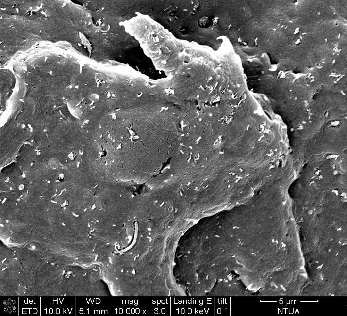 Στο Σχήμα 6.8 και Σχήμα 6.9 φαίνονται οι εικόνες SEM των νανοσύνθετων με 1 και 2 wt.