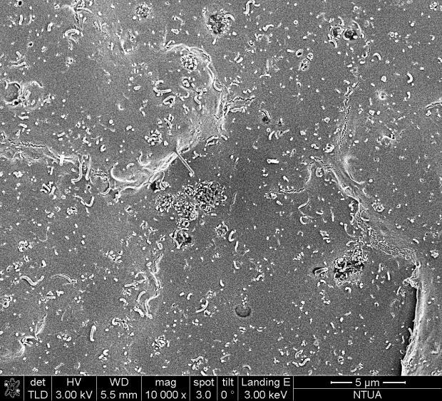 (c) (d) (c) (d) Σχήμα 6.9: Εικόνες SEM της θραυσιγενούς επιφάνειας νανοσύνθετου PLA/MWCNTs με 2 wt.% p-mwcnts.
