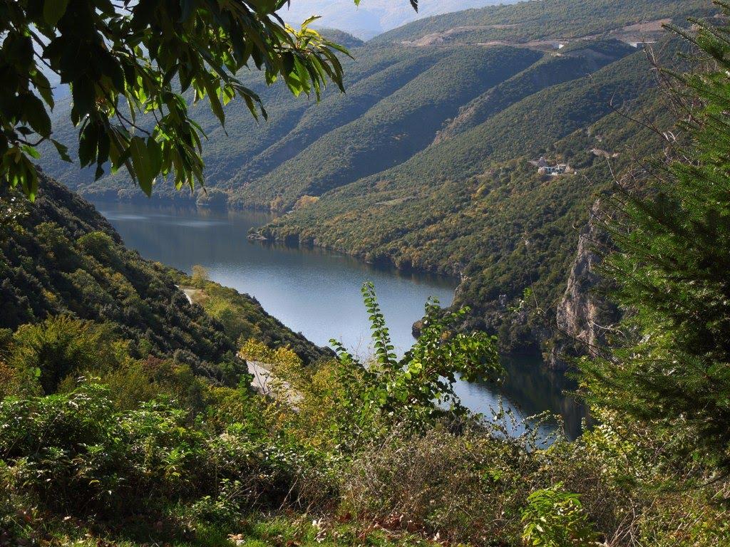 Απορροής Ποταμών του