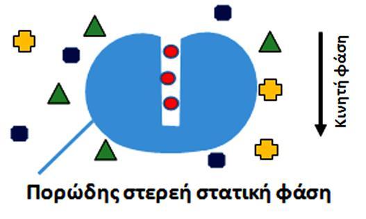 Σχήμα 8.5 Χρωματογραφία μοριακού αποκλεισμού: ο κόκκινος αναλύτης εισχωρώντας στους πόρους της στατικής φάσης καθυστερεί να εξέλθει σε σχέση με τους υπόλοιπους.
