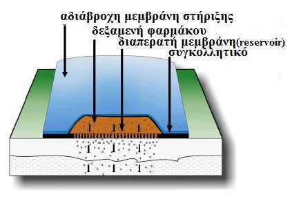 2.3 Βασικά συστήματα διαδερμικής χορήγησης Τα διαδερμικά συστήματα ελεγχόμενης αποδέσμευσης (Εικόνα 10) τυπικά περιλαμβάνουν 47,60,61 : Ένα εξωτερικό περίβλημα, το οποίο αφαιρείται πριν την εφαρμογή