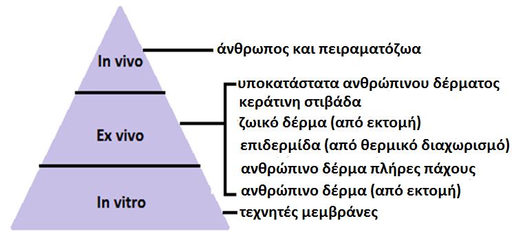 Σχήμα 8 92 : Χρησιμοποιούμενα μοντέλα μεμβρανών για τη μελέτη της διαδερμικής απορρόφησης δραστικών φαρμακευτικών συστατικών. 3.
