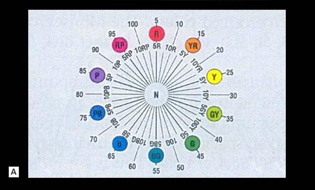 16 FIZIOLOGIA ŞI PATOLOGIA CROMATICII DENTARE verde/ green (G), albastru/ blue (B), violet/purple(p) sau ca amestec, în diferite proporţii, a două culori primare (pigmenţi).