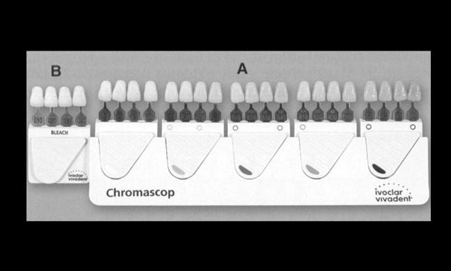 54 FIZIOLOGIA ŞI PATOLOGIA CROMATICII DENTARE brun deschis, grupa 400 gri şi grupa 500 brun închis.