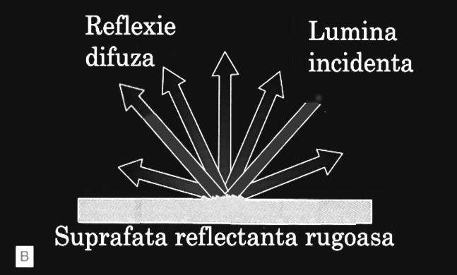Cap. 1. Lumina şi culoarea 11 Fig. 1.1.B Suprafeţele rugoase determină o reflexie difuză.
