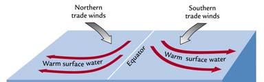 περιοχές Γενικότερα, στην περιοχή του ισημερινού, η ανάδυση αναστέλλεται από τη ροή ζεστού επιφανειακού νερού από τα δυτικά προς τα ανατολικά στα ισημερινά αντίθετα ρεύματα ( equatorial