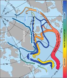 Το Ρεύμα του Κόλπου κατευθύνεται βόρεια κατά μήκος των ανατολικών ακτών των ΗΠΑ Αργότερα συναντάται με το ψυχρό ρεύμα του Labrador που φέρνει ψυχρότερες μάζες νερού από τον Αρκτικό ωκεανό Έτσι,