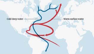 Η Ατλαντική Μεσημβρινή Ανατροπή Κυκλοφορίας είναι ένα σύστημα ρευμάτων στον Ατλαντικό, συμπεριλαμβανομένου του Ρεύματος του Κόλπου, που χαρακτηρίζεται από Μια βόρεια ροή ζεστού, αλμυρού νερού στα