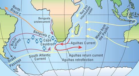 είναιτομεγαλύτερορεύμαδυτικών περιθωρίων στον παγκόσμιο ωκεανό (~70 Sv) Brazil current (12 Sv), Gulf Stream (34 Sv),
