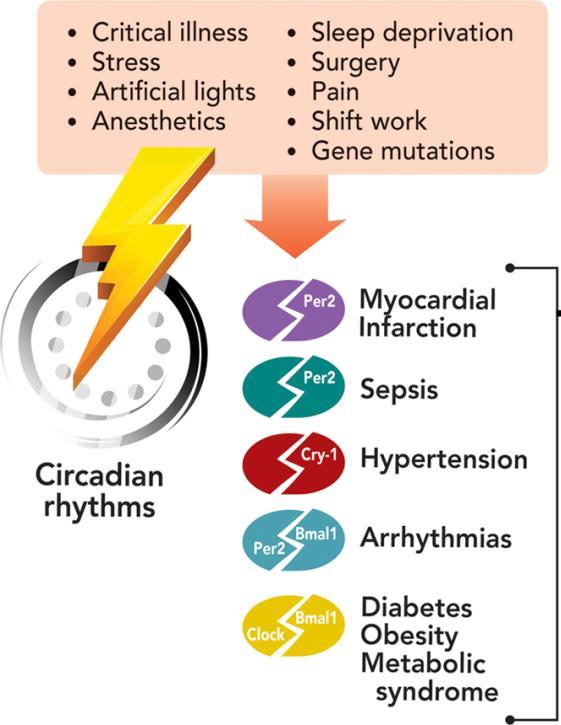 Nat Rev Immunol.