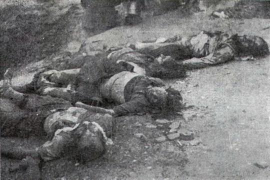 «πανεπιστημιακού επιπέδου» και της άλλαξε τα φώτα.