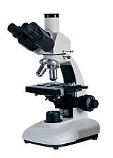 Η πρώτη παρατήρηση κυττάρων φελλού (φλοιού δρυός) στο μικροσκόπιο έγινε το 1665 από τον ερευνητή εκείνης της πρώιμης εποχής, Robert Hooke (Αγγλία).