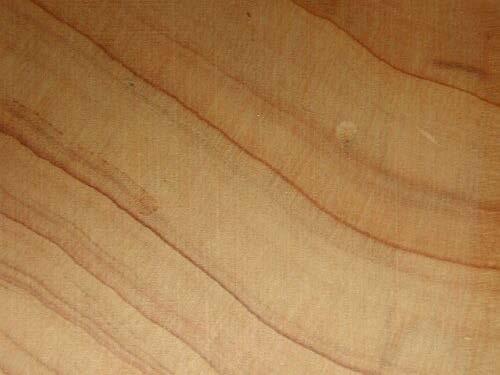 Α. Β. ΕΙΚ. 27. (Α): Ψευδείς αυξητικοί δακτύλιοι σε άρκευθο (Juniperus sp.). (Β): Οδοντωτοί δακτύλιοι σε κόκκινη ερυθρελάτη (red spruce).