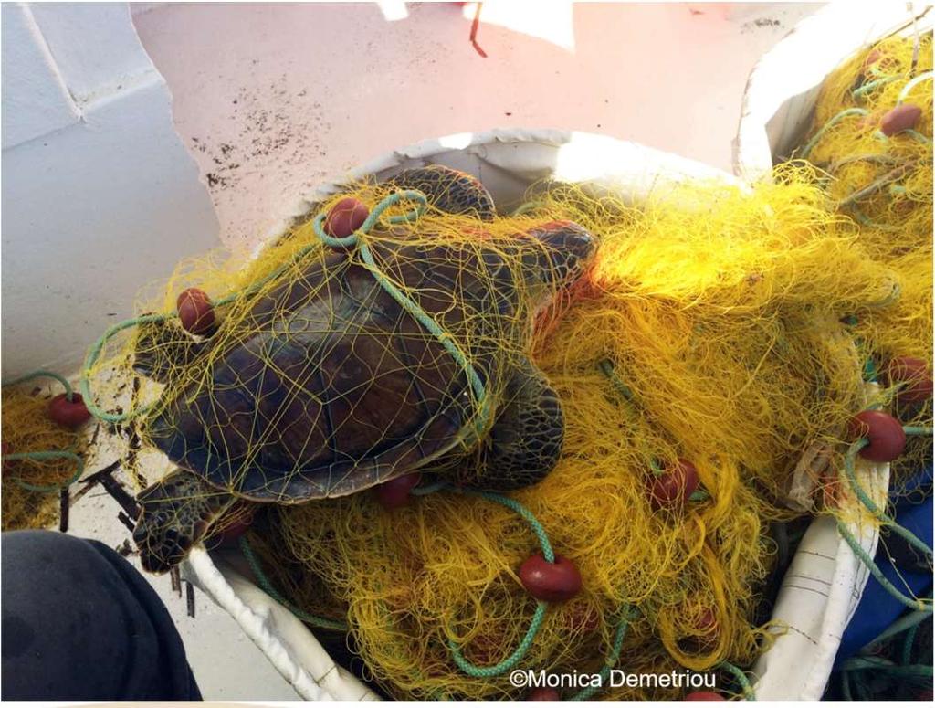 Eγκαταλειμμένα αλιευτικά εργαλεία Τα εγκαταλειμμένα αλιευτικά εργαλεία αναφέρονται σε οτιδήποτε αφορά αλιευτικό εξοπλισμό ή απόβλητα που σχετίζονται με την αλιεία, τα οποία εγκαταλείφθηκαν,