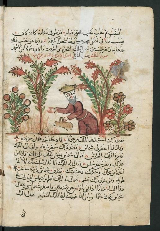 تطور استخدام عالمات الرتقيم يف اللغة العربية ملحق 5: استخدام 3 نقاط )باإلضافة إىل النقطة والدائرة( ص 8 من مخطوطة: قصة