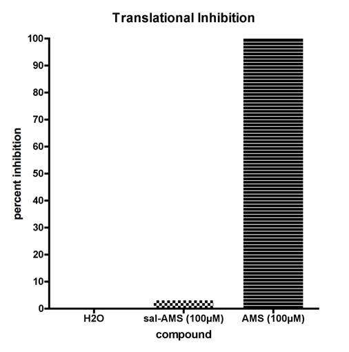 IV. In Vitro Translation Assay. In vitro translation of luciferase results are shown in Figure S6.