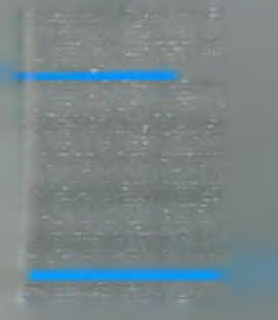 με συστουάες πυλών (gate-array chips). Πρόκειται για ολοκληρωμένα κυκλώματα ία οποία περιέχουν 100,000 ή περισσότερες μη συνδεδεμένες λογικές πύλες.