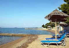 κρασί σε καράφα, µπύρα βαρελίσια κατά την διάρκεια των φαγητών Ζωντανή