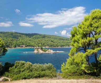 Θερινός κινηµατογράφος 2 φορές την εβδοµάδα ΓΙΑ ΤΟΥΣ ΜΙΚΡΟΥΣ ΜΑΣ ΦΙΛΟΥΣ!