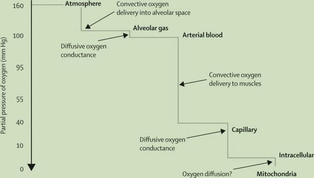 Oxygen