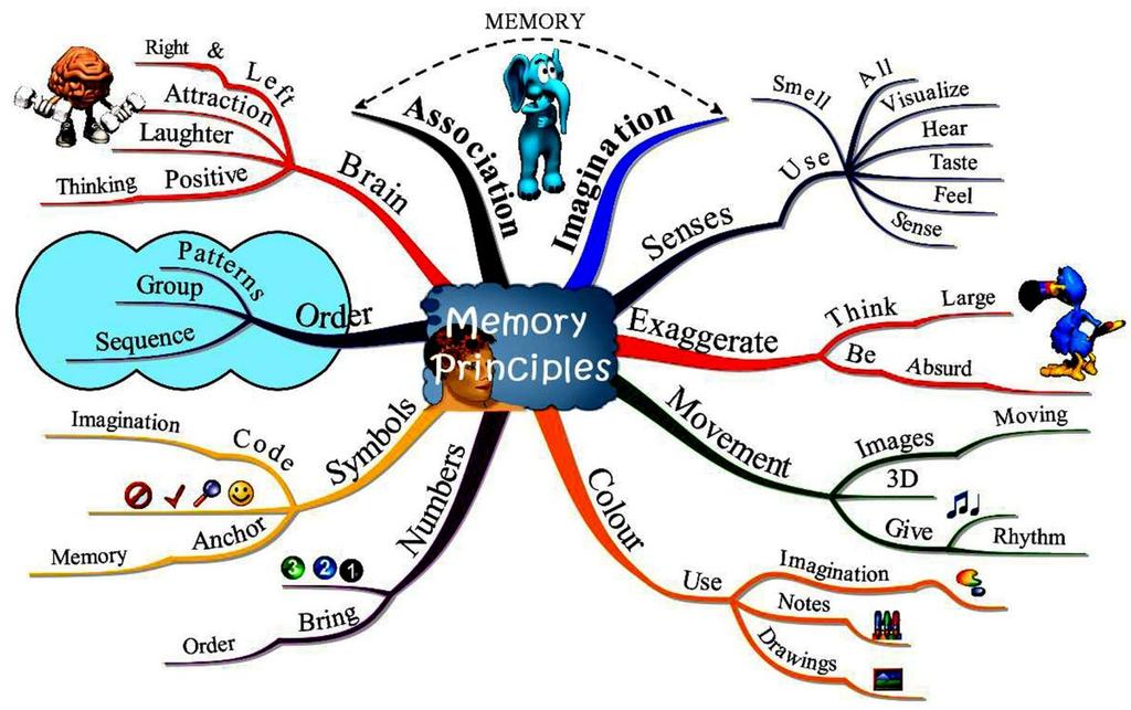 MindMapping-ის პრინციპები : დაიცავი აგების ტექნიკის კანონები; დაიცავი სტრუქტურის კანონები; გაითვალისწინე რეკომენდაციები; განთავისუფლდი შეცდომებისგან; აგების ტექნიკის კანონები : 1.