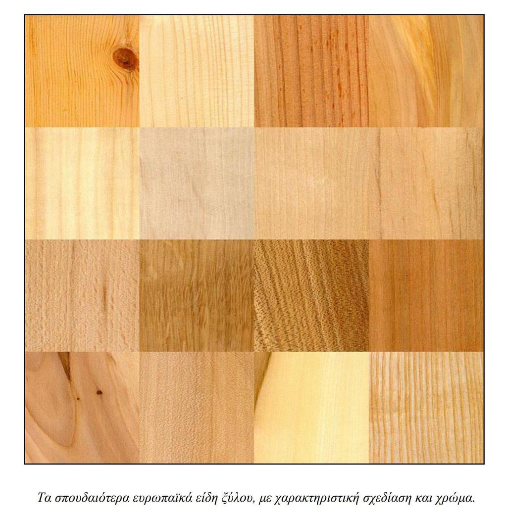 ξύλου από την εγχώρια παραγωγή είναι μικρό (περί το 25-30%), ενώ το υπόλοιπο είναι καυσόξυλο.