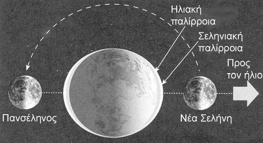 Σε αβαθείς όμως θάλασσες και ειδικά όπου η παλίρροια συγκεντρώνεται ανάμεσα σε ακτές που συγκλίνουν, οι διακυμάνσεις της στάθμης είναι μεγάλες και δημιουργούνται ισχυρά ρεύματα (π.χ. πορθμός του Εύριπου).