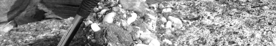 Σχ. 76. Τομή beach rock. Διακρίνονται οι συγκολλημένες κροκάλες και ψαμμίτες, που το αποτελούν. Βeach rοck: (Ψηφιδοπαγείς αιγιαλοί).
