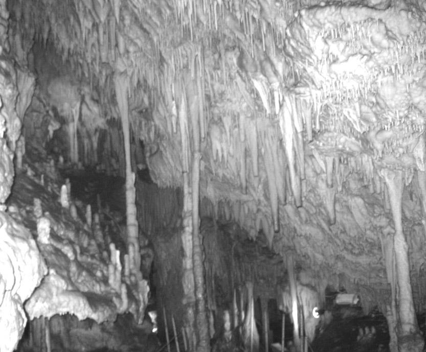 Η πόλγη είναι ένα εκτεταμένο βύθισμα με επίπεδο πυθμένα καλυμμένο με αλλούβια ή terra rossa. Δημιουργείται συνήθως από την πτώση οροφής εκτεταμένου συστήματος υπόγειων σπηλαίων.