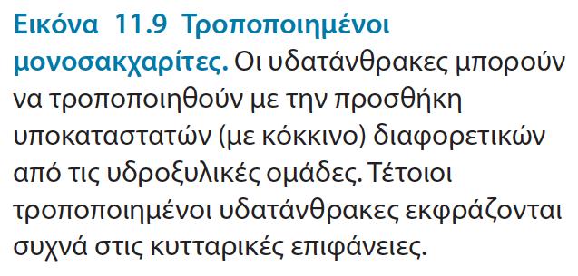 Οι μονοσακχαρίτες ενώνονται με αλκοόλες και αμίνες μέσω γλυκοζιτικών δεσμών Τροποποίηση βιοχημικών ιδιοτήτων μονοσακχαριτών: μέσω αντιδράσεων με άλλα μόρια Αυτές οι τροποποιήσεις αυξάνουν τη