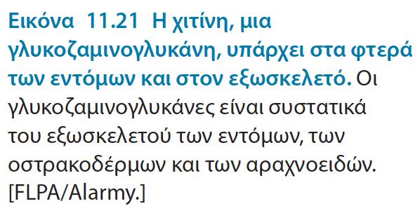 δονήσεων Οστεοαρθρίτιδα: αποτέλεσμα της
