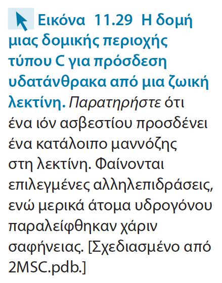 Επιλεκτίνες: προσδένουν τα κύτταρα του ανοσοποιητικού συστήματος στις περιοχές της βλάβης κατά τη φλεγμονώδη αντίδραση Επιλεκτίνη L: παράγεται από τα