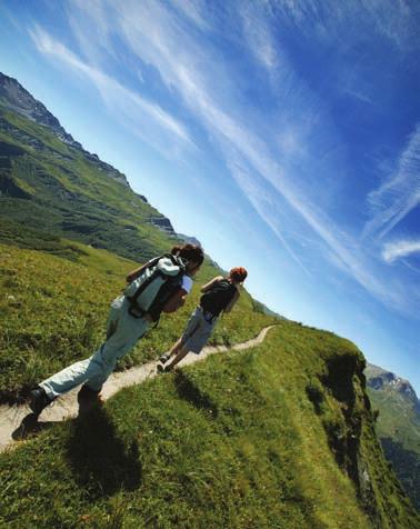 Define Your Pathway MAPK Cascade Inhibitor Tocriset (Cat. o. 1878) 1 set Genistein (Cat. o. 1110); EGFR kinase inhibitor PD 98059 (Cat. o. 1213); specific inhibitor of MAPKK/MEK ZM 336372 (Cat. o. 1321); potent, selective c-raf inhibitor U0126** (Cat.