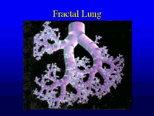 Φυσικά Fractals Τα