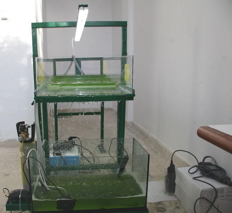 PRODUS DENUMIRE INSTALAȚIE PENTRU CULTIVAREA ALGELOR ÎN SISTEM DESCHIS, TIP CASCADA-ICA DOMENIU DE APLICABILITATE: Bioeconomie - tehnologii pentru obținerea biocombustibililor avansați din bioresurse