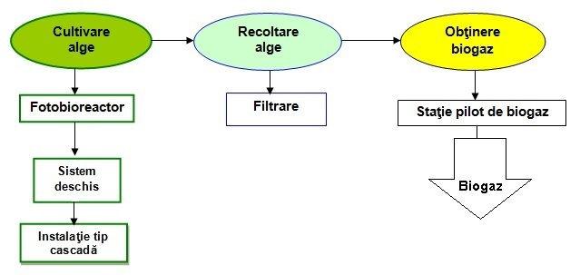 Principalele etape pentru obţinerea biogazului din biomasa algală se realizeazӑ utilizând Instalaţia de obţinere a biogazului din resurse non-agricole, alcătuită în principal din următoarele