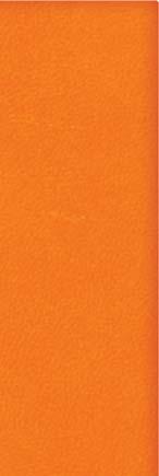 εβδομαδιαίου   τις δυνατότητες & Blue Red Κόκκινο Orange Πορτοκαλί Grey Γκρι Beige Μπέζ Fuchsia