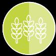 III Φυσικοί πόροι & περιβάλλον ΓΕΩΡΓΙΚΗ & ΑΛΙΕΥΤΙΚΗ ΠΟΛΙΤΙΚΗ Ευρωπαϊκό Γεωργικό Ταμείο Εγγυήσεων & Ευρωπαϊκό Γεωργικό Ταμείο Αγροτικής Ανάπτυξης Η κοινή γεωργική πολιτική είναι η κεντρική πολιτική