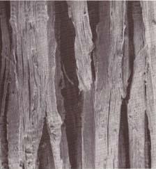 επιφανειακό στρώμα ξύλου.