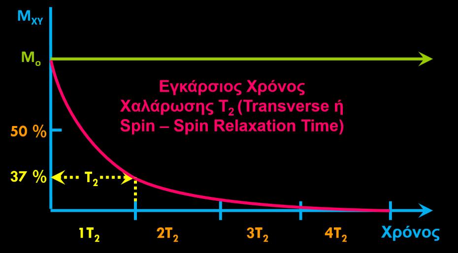 ΕΓΚΑΡΣΙΟΣ ΧΡΟΝΟΣ ΧΑΛΑΡΩΣΗΣ (SPIN SPIN RELAXATION TIME) Τ2 Χρόνος Τ2 είναι το χρονικό διάστημα (μετρημένο σε χιλιοστά του δευτερολέπτου msec), μέσα στο