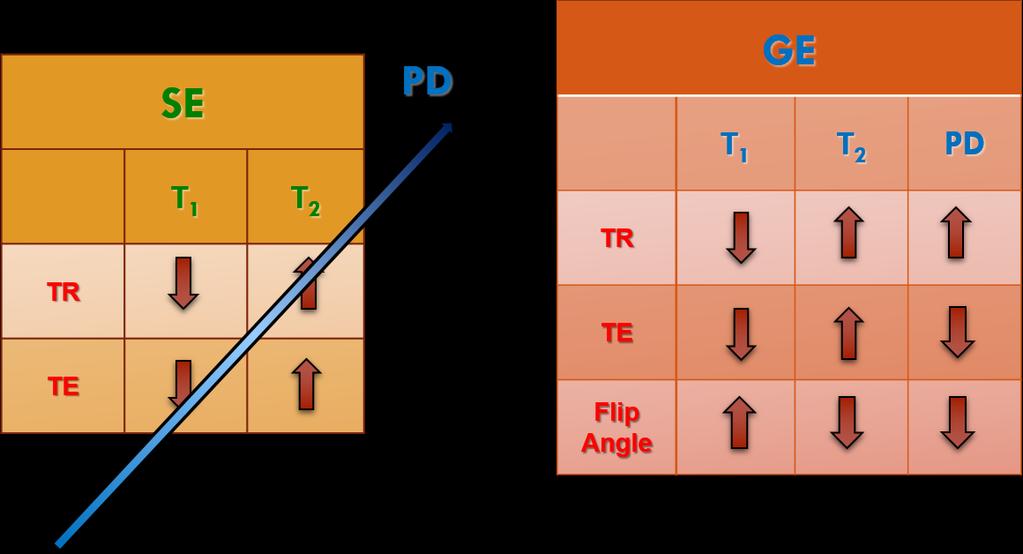 Ενδογενείς παράγοντες (T1, T2, Πυκνότητα Πρωτονίων). Εξωγενείς παράγοντες (TR, TE, είδος ακολουθίας SE ή GE, Flip Angle, Σκιαγραφικά).